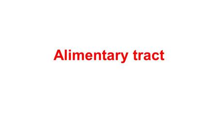 Alimentary tract. The four main roles of digestive system.