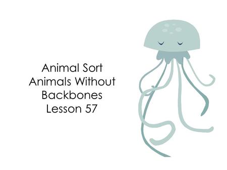 Animal Sort Animals Without Backbones Lesson 57