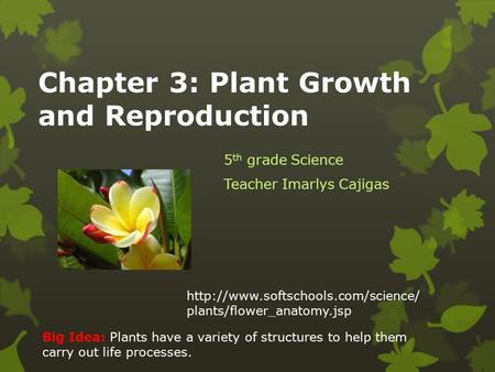 Chapter 3: Plant Growth and Reproduction 5 th grade Science Teacher Imarlys Cajigas Big Idea: Plants have a variety of structures to help them carry out.