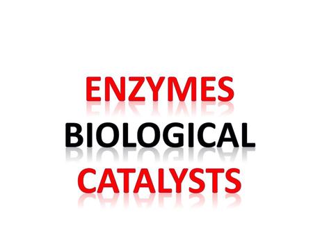 Objectives Differentiate between reactants and products in a chemical reaction. Describe the process of the chemical reaction and explain how enzymes.