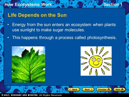 How Ecosystems WorkSection 1 Life Depends on the Sun Energy from the sun enters an ecosystem when plants use sunlight to make sugar molecules. This happens.
