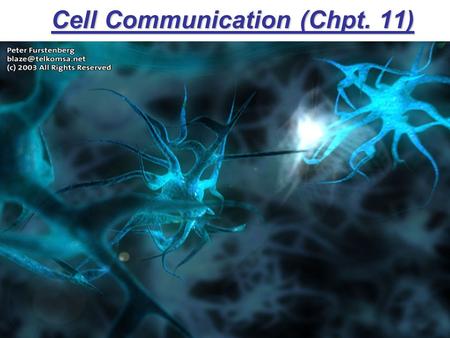 Cell Communication (Chpt. 11) Chapter 11. Overview of Cell Signaling Signaling evolved early in history of life Communicating cells may be close together.