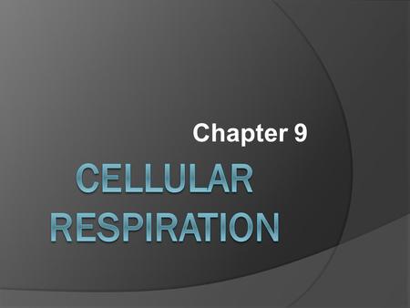 Chapter 9. Cellular Respiration  The process that releases energy (ATP) by breaking down food molecules in the presence of oxygen.