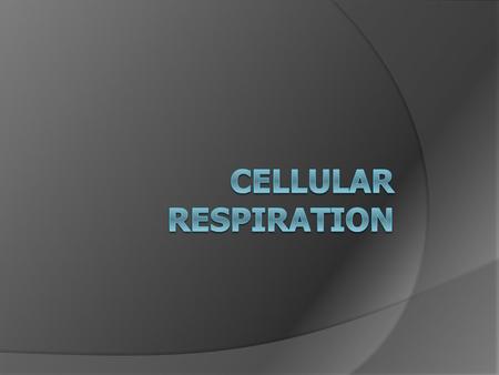 What is Cellular Respiration?  The process whereby cells convert carbohydrates to energy in the form of ATP (energy storage molecule)  All cells undergo.
