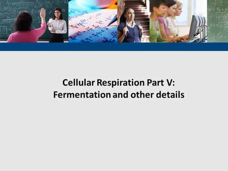Cellular Respiration Part V: Fermentation and other details.
