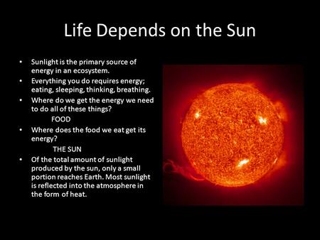 Life Depends on the Sun Sunlight is the primary source of energy in an ecosystem. Everything you do requires energy; eating, sleeping, thinking, breathing.