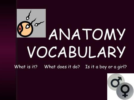 ANATOMY VOCABULARY What is it? What does it do? Is it a boy or a girl?