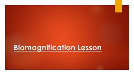 Biomagnification Lesson