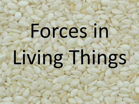 Forces in Living Things