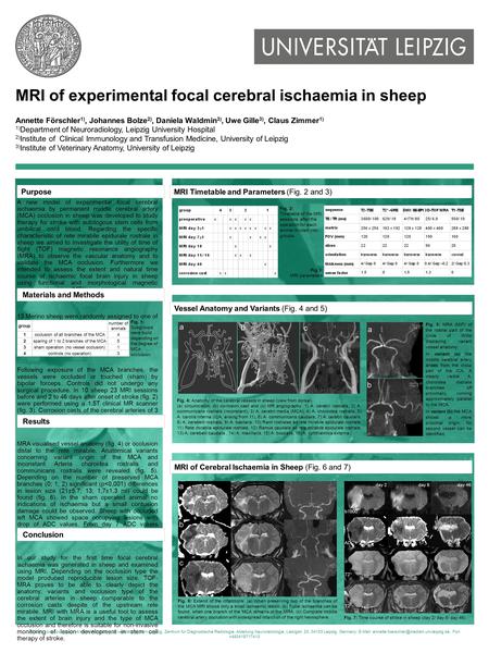 MRI of experimental focal cerebral ischaemia in sheep Annette Förschler 1), Johannes Bolze 2), Daniela Waldmin 3), Uwe Gille 3), Claus Zimmer 1) 1) Department.