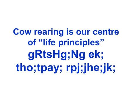 Cow rearing is our centre of “life principles” gRtsHg;Ng ek; tho;tpay; rpj;jhe;jk;