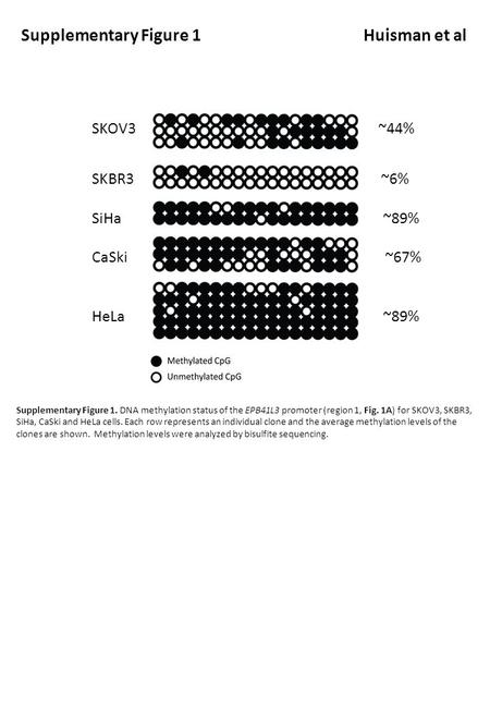 SKOV3 ~44% SKBR3 ~6% SiHa ~89% CaSki i ~67% HeLa ~89% Supplementary Figure 1 Huisman et al Supplementary Figure 1. DNA methylation status of the EPB41L3.