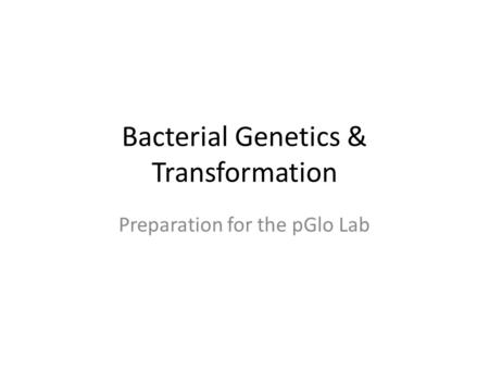 Bacterial Genetics & Transformation