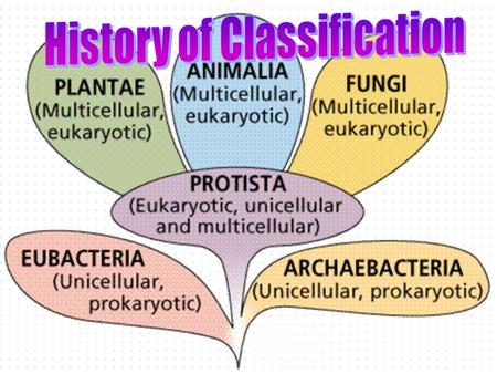 Taxonomy: Branch of biology that groups all life according to their characteristics and history All life on earth is placed into 1 of 6 kingdoms: –Eubacteria.