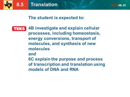 8.5 Translation TEKS 4B, 6C The student is expected to: 4B investigate and explain cellular processes, including homeostasis, energy conversions, transport.