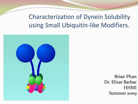 Characterization of Dynein Solubility using Small Ubiquitin-like Modifiers. Brian Phan Dr. Elisar Barbar HHMI Summer 2009.