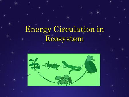 Energy Circulation in Ecosystem. Life in the Earth is possible thanks to the circulation of the energy flow into the ecosystems in a cyclical way from.