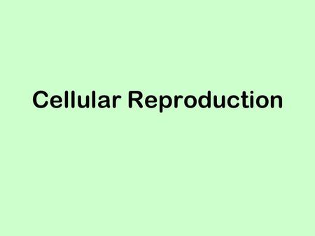 Cellular Reproduction. Cell Reproduction What is cell reproduction? How many cells make up your body? How does the chromosome transmit information from.