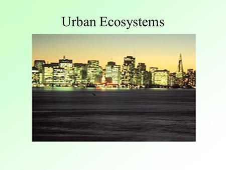 Urban Ecosystems. How does a city get started? Usually an historic trade route or location near some valuable resource, e.g. water Usually without any.