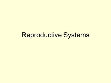 Reproductive Systems. Seminal vesicles Bladder Vas deferens penis urethra Testicles (or testes) scrotum Prostate gland Cowper’s gland anus epididymis.