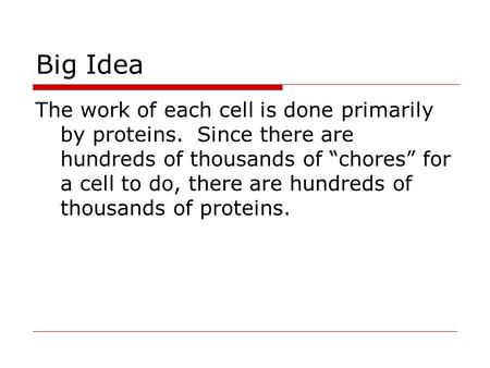 Big Idea The work of each cell is done primarily by proteins. Since there are hundreds of thousands of “chores” for a cell to do, there are hundreds of.