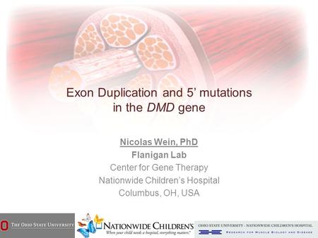 Exon Duplication and 5’ mutations in the DMD gene Nicolas Wein, PhD Flanigan Lab Center for Gene Therapy Nationwide Children’s Hospital Columbus, OH, USA.
