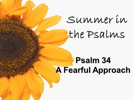 Summer in the Psalms Psalm 34 A Fearful Approach.