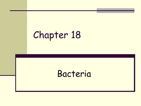 Chapter 18 Bacteria.