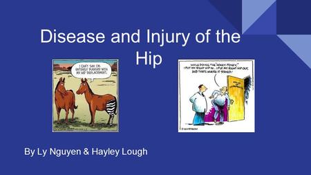 Disease and Injury of the Hip By Ly Nguyen & Hayley Lough.