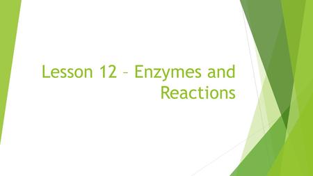 Lesson 12 – Enzymes and Reactions