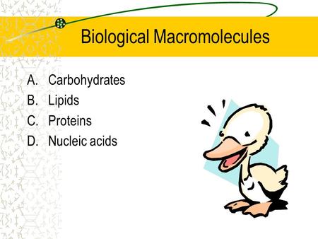 Biological Macromolecules A.Carbohydrates B.Lipids C.Proteins D.Nucleic acids.