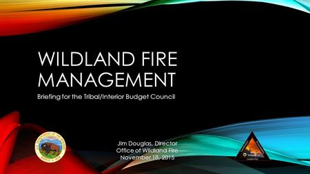 WILDLAND FIRE MANAGEMENT Briefing for the Tribal/Interior Budget Council Jim Douglas, Director Office of Wildland Fire November 18, 2015.