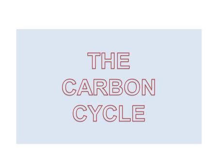 Carbon is an element It is part of oceans, air, rocks, soil and all living things. Carbon doesn’t stay in one place.