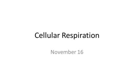 Cellular Respiration November 16. Do Now Collect returned assignments (in hanging folders) Pick up a new tracker Begin working on today’s warm-up: What.