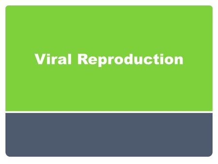 Viral Reproduction. Viruses If viruses are non-living, how do they replicate?? They need a host cell! Before a virus can replicate, it must attach to.