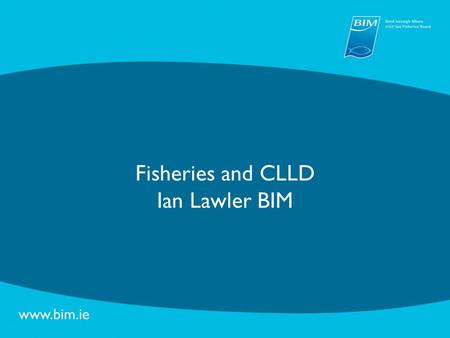 Fisheries and CLLD Ian Lawler BIM. Needs Identified vs Measures - Fisheries Matching fleet to available resources CFP Implementation – Decommissioning.