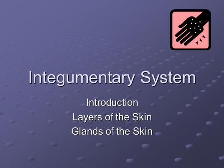 Integumentary System Introduction Layers of the Skin Glands of the Skin.