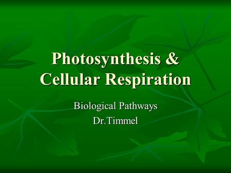 Photosynthesis & Cellular Respiration Biological Pathways Dr.Timmel.
