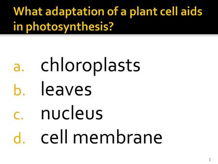 A. chloroplasts b. leaves c. nucleus d. cell membrane 1.