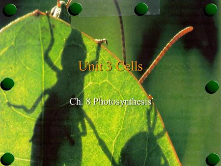 Unit 3 Cells Ch. 8 Photosynthesis. Autotrophs & Heterotrophs o Plants & some other types of organisms are able to use light energy from the sun to produce.