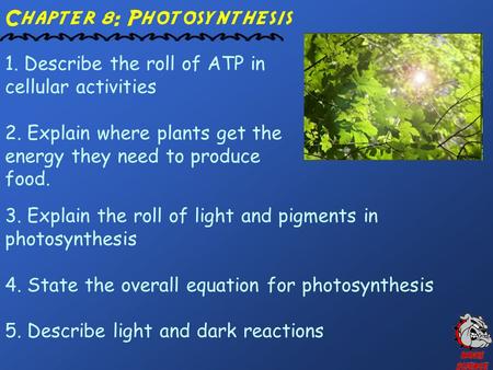 Chapter 8: Photosynthesis 1. Describe the roll of ATP in cellular activities 2. Explain where plants get the energy they need to produce food. 3. Explain.