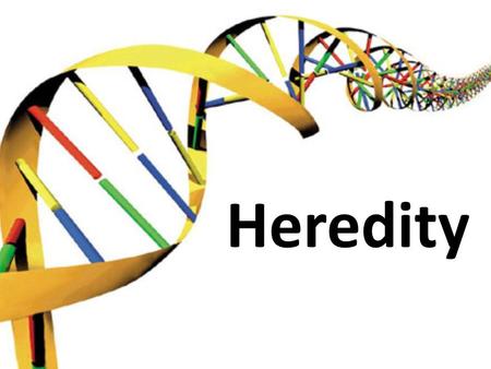 Heredity. What are the principal mechanisms by which living things reproduce and transmit hereditary information from parents to offspring? Mendelian.