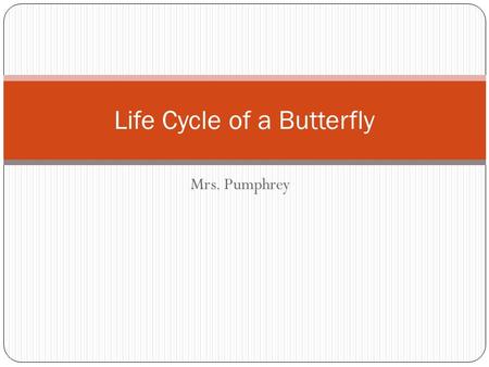 Mrs. Pumphrey Life Cycle of a Butterfly. Egg The butterfly egg sticks to a plant. The egg is small and may be round. A caterpillar grows in the egg. The.