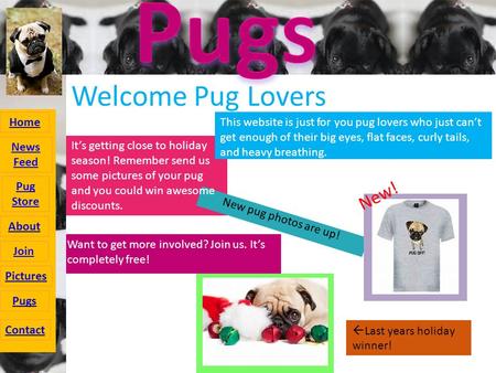 Welcome Pug Lovers This website is just for you pug lovers who just can’t get enough of their big eyes, flat faces, curly tails, and heavy breathing. Want.