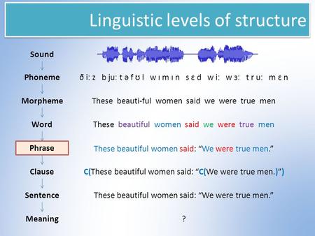 Linguistic levels of structure