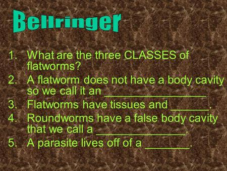  What are the three CLASSES of flatworms?  A flatworm does not have a body cavity so we call it an ________________  Flatworms have tissues and ______.