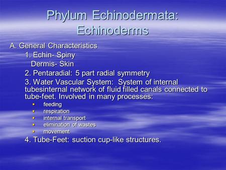 Phylum Echinodermata: Echinoderms A. General Characteristics 1. Echin- Spiny Dermis- Skin Dermis- Skin 2. Pentaradial: 5 part radial symmetry 3. Water.