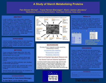 A Study of Starch Metabolizing Proteins Pam Brewer-Michael 1, Tracie Hennen-Bierwagen 2, Myers /James Laboratory 2 1 Marshalltown Community School District,