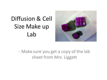 Diffusion & Cell Size Make up Lab - Make sure you get a copy of the lab sheet from Mrs. Liggett.