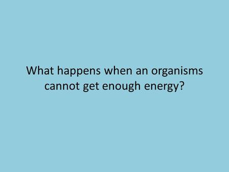 What happens when an organisms cannot get enough energy?